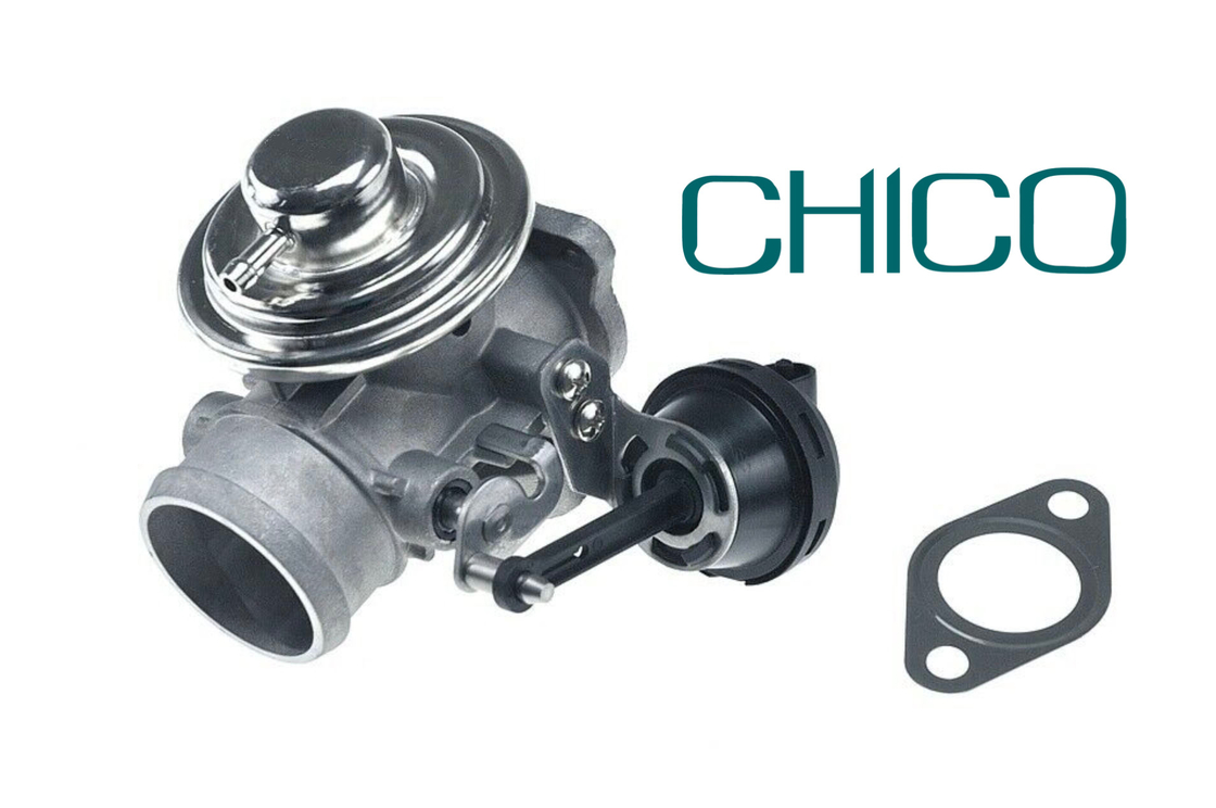 TS16949 EGR αυτοκινήτων βαλβίδα για τη VW PASSAT 1100628 7.03703.62.0 038131501AQ FORD PIERBURG